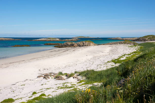istock tropical beach at Andenes in norway 913308974