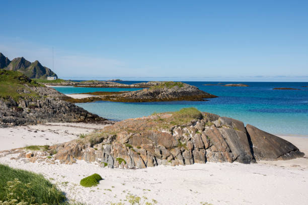 istock tropical beach at Andenes in norway 913308998