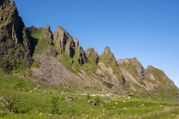 istock tropical beach at Andenes in norway 913309064