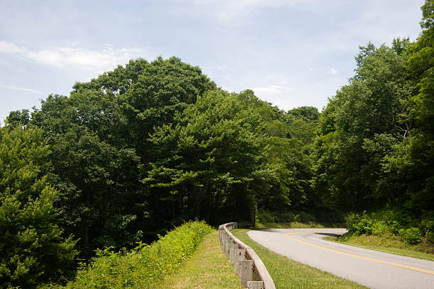 istock Blue Ridge Parkway Road in Summer 91331273