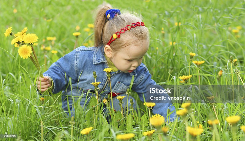 Bambina raccolta di fiori - Foto stock royalty-free di Abbigliamento casual