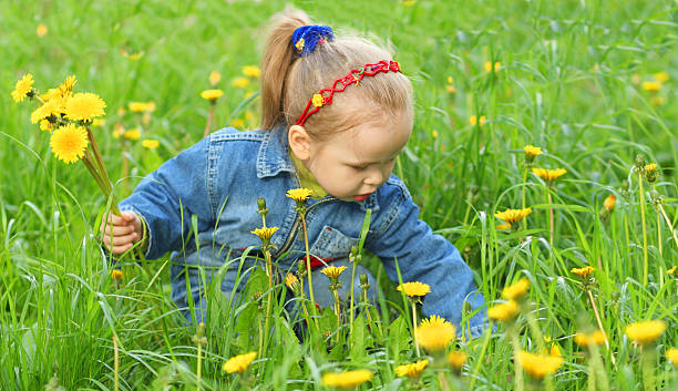 bambina raccolta di fiori - formal garden ornamental garden child single flower foto e immagini stock