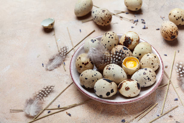 istock Fresh quail eggs decorated with feather. Organic food. 913315532