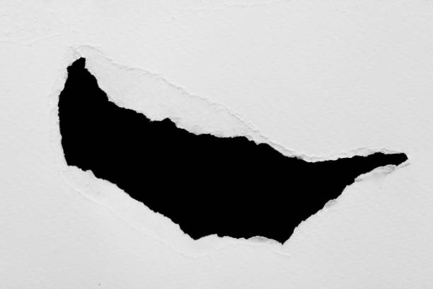 istock pieces of torn paper. copy space 913316948