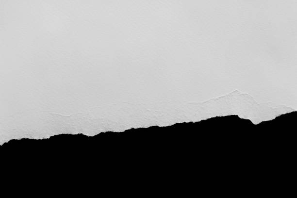 istock pieces of torn paper. copy space 913316956