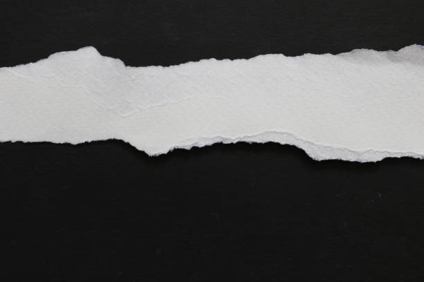 istock pieces of torn paper. copy space 913316978