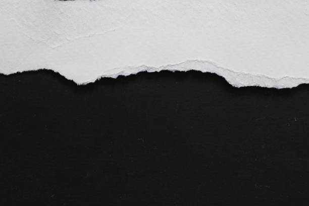 istock pieces of torn paper. copy space 913316986