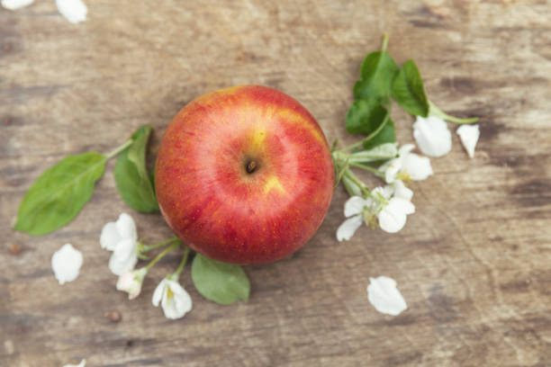 istock Fresh sweet juicy spring red apples with flowers 913323570