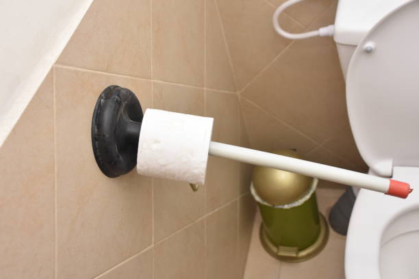 istock Funny improvisation plunger holds toilet paper 913331198