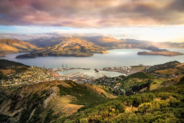 lyttelton harbour christchurch nouvelle zelande - christchurch photos et images de collection