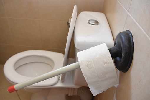 Funny Improvisation Plunger Holds Toilet Paper Stock Photo - Download Image  Now - Airtight, Black Color, Garbage Can - iStock
