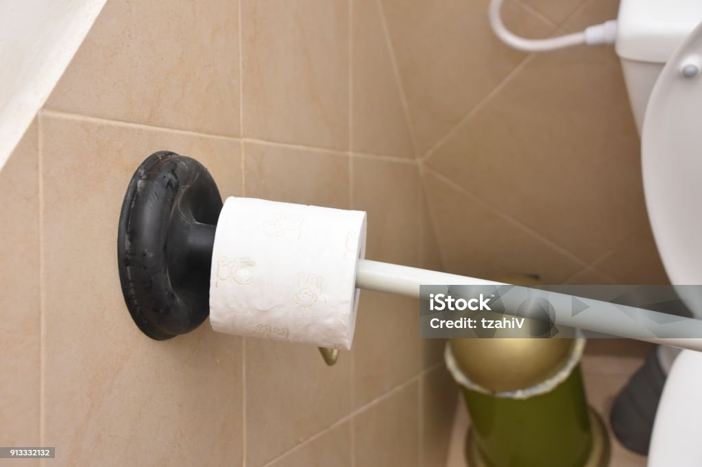 Funny Improvisation Plunger Holds Toilet Paper Stock Photo - Download Image  Now - Black Color, Plunger, Airtight - iStock