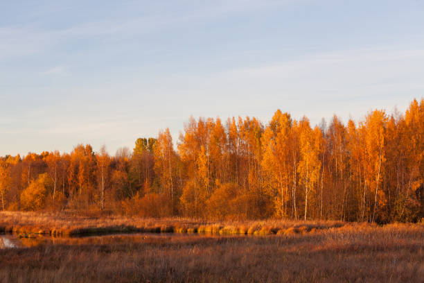 istock Nature landscape in autumn colors 913332336