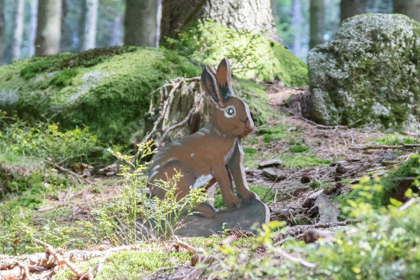 istock Wooden rabbit waiting to be spotted by children 913335968