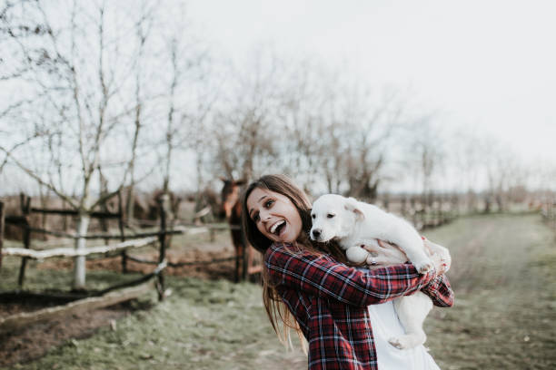 istock My dog is going with me everywhere 913335994