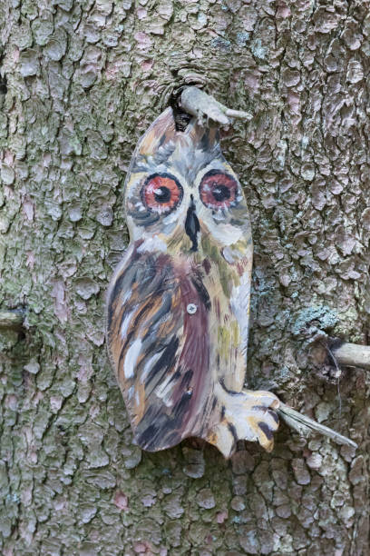 istock Owl waiting to be spotted by children 913336038