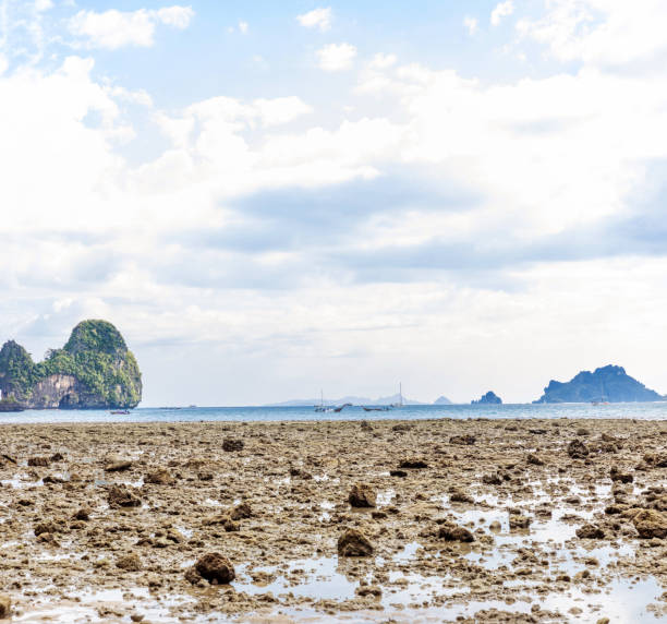 istock Popular travel tropical karst rocks Railay 913338804