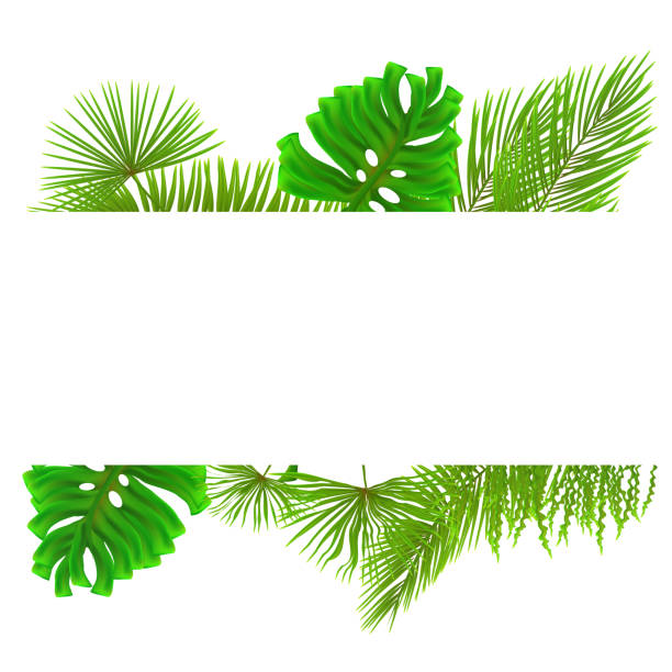 istock Pattern of colorful tropical plants leaves on white background. 913341534