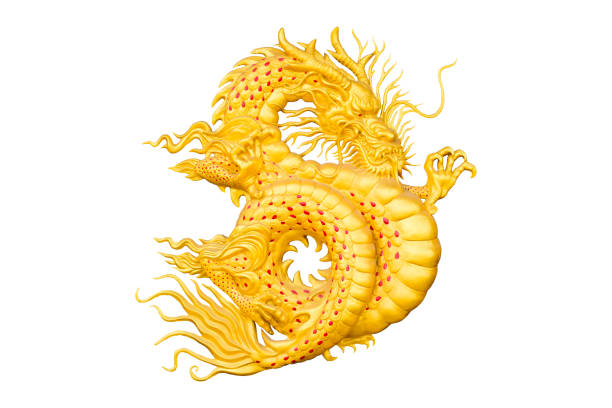 golden dragon on white background for chinese new year. - dragon china year thai culture imagens e fotografias de stock