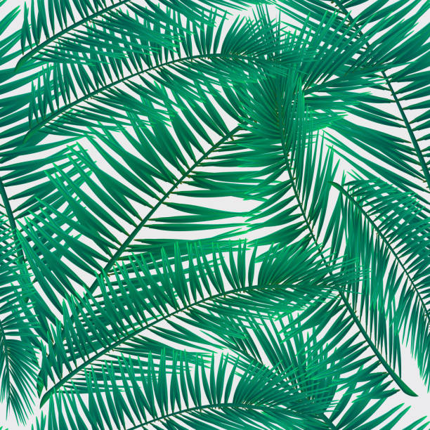 istock Pattern of colorful tropical plants leaves on white background. 913342140