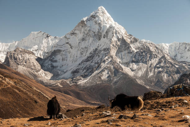istock Nepalese landscape, Amadablam 913342278