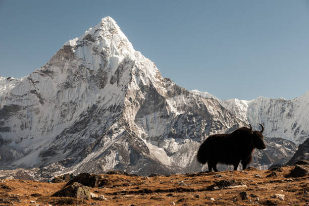 istock Nepalese landscape, Amadablam 913342378