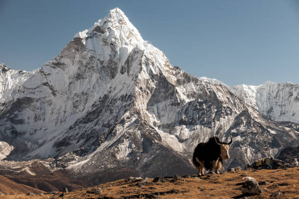 istock Nepalese landscape, Amadablam 913342416