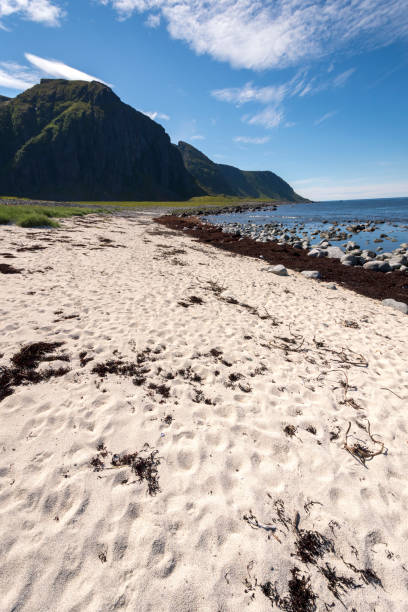 istock protected park area in Eggun in Norway 913350312