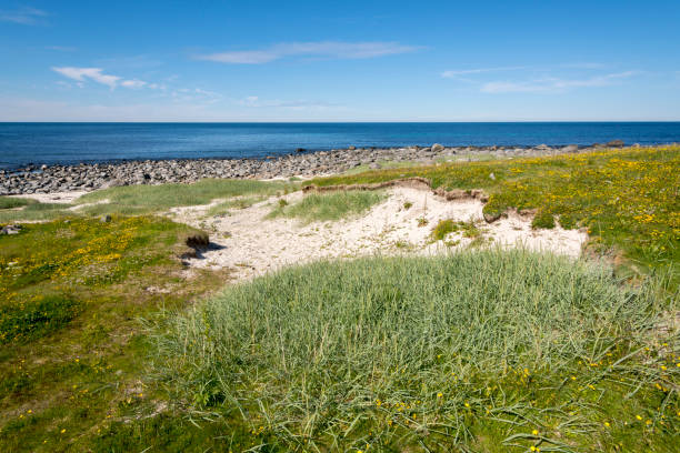 istock protected park area in Eggun in Norway 913350396
