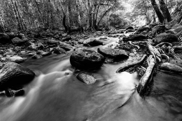 istock Beautiful fall in Phu kradung 913354616