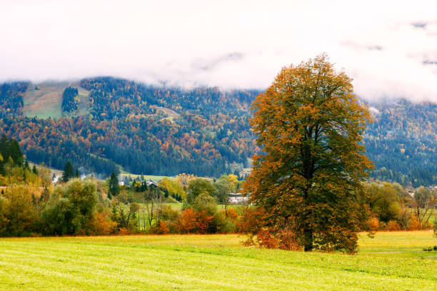 istock Idyllic landscape in the Alps 913355334