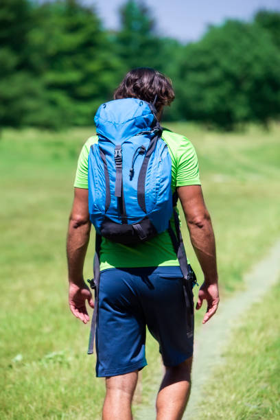 istock Young man hiking at green nature 913357874