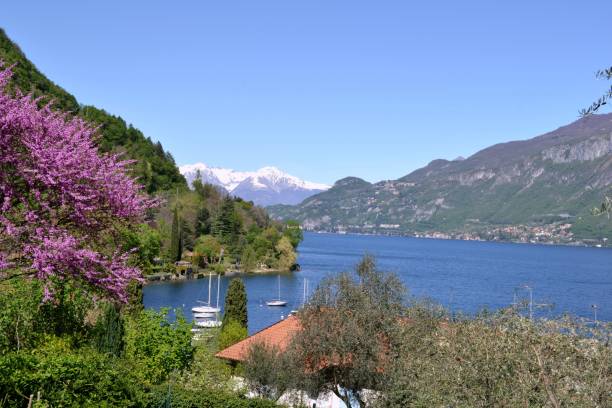 istock Beautiful panoramic view to lake Como near Bellagio in a spring sunny day. 913359370