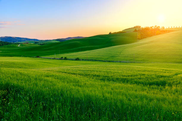 istock Summer in the fields of Tuscany in the sunset 913360170