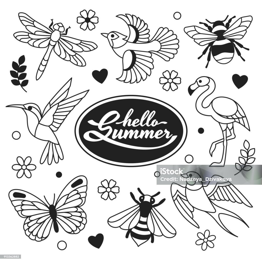 Hello Summer icons collection. Vector illustration of outline icons of birds and insects, such as hummingbird, flamingo, swallow, blue jay, dragonfly, butterfly and bee. Isolated on white. Bird stock vector