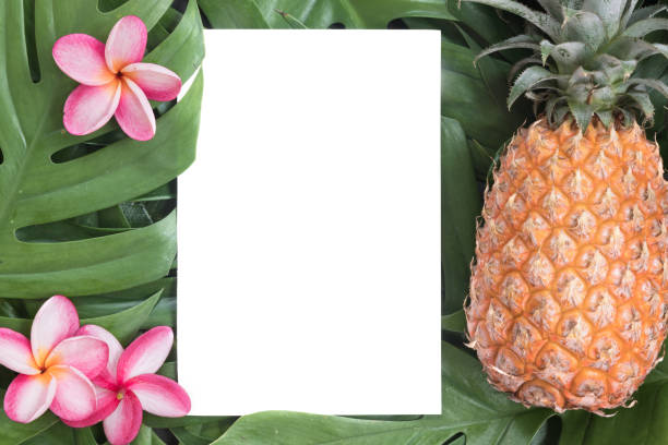 istock Tropical top view summer botanical concept 913366224