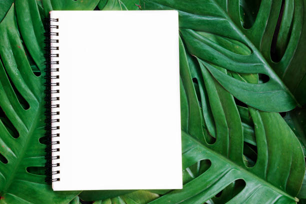 istock Tropical top view summer botanical concept 913366308