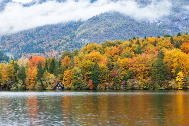 istock Beautiful autumn scenery at lake Bohinj. 913366436