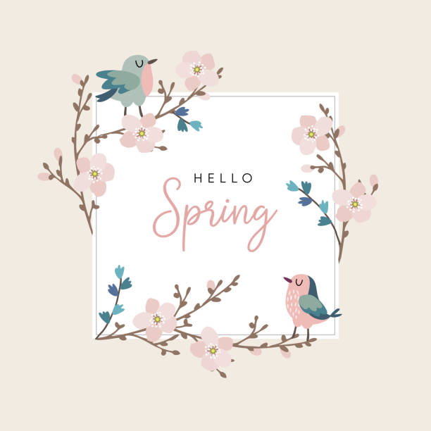 ilustraciones, imágenes clip art, dibujos animados e iconos de stock de hola tarjeta de felicitación de primavera, invitación con pájaros dibujados a mano lindo y cerezo ramas con flores de color rosa. concepto de semana santa. fondo de vector ilustración - cute bird