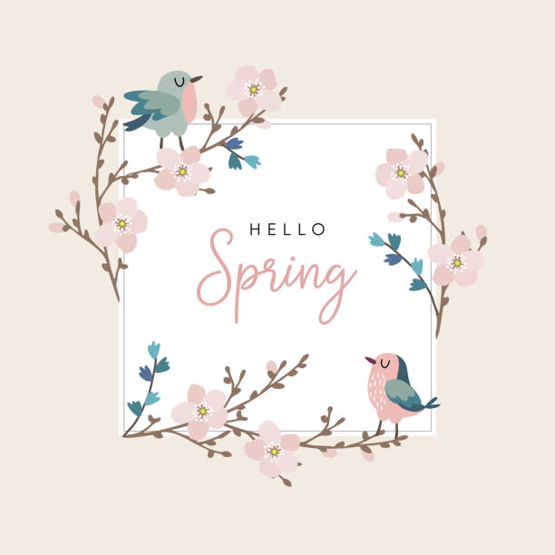Hello spring greeting card, invitation with cute hand drawn birds and cherry tree branches with pink blossoms. Easter concept. Vector illustration background Hello spring greeting card, invitation with cute hand drawn birds and cherry tree branches with pink blossoms, Easter concept. Vector illustration background. bird borders stock illustrations
