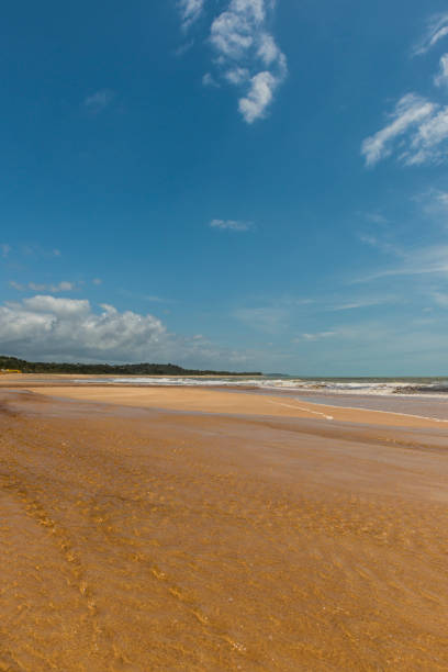 istock Trancoso, Porto Seguro (Bahia - Brazil) 913371758
