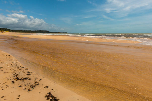 View of the beach 'Praia do Rio da Barra' in Trancoso a district of Porto Seguro, Bahia state - Brazil