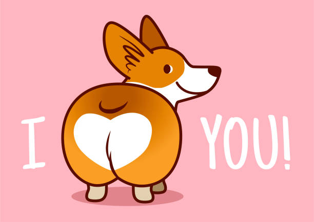 cute uśmiechnięty walijski corgi pies wektor ilustracji kreskówki izolowane na różowym tle. funny "i love you" corgi serce element projektu tyłek na walentynki tematu. - i love you stock illustrations