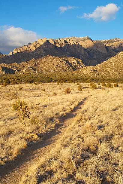 istock southwestern desert mountain hiking trail sunset 91339072