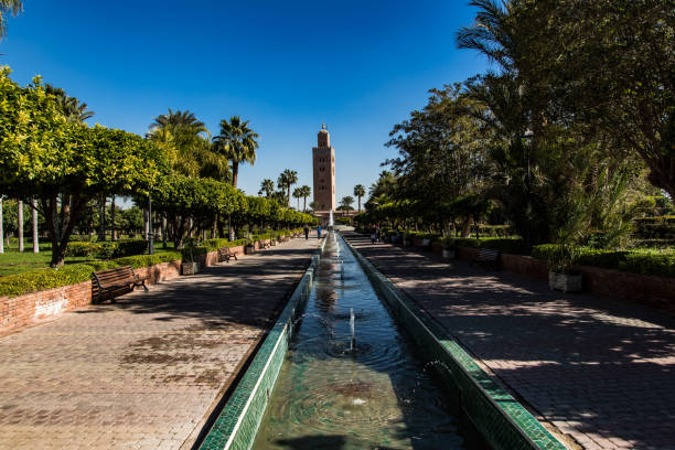 ogrody meczetu koutoubia w marrakeszu,maroko. - djemma el fna square zdjęcia i obrazy z banku zdjęć