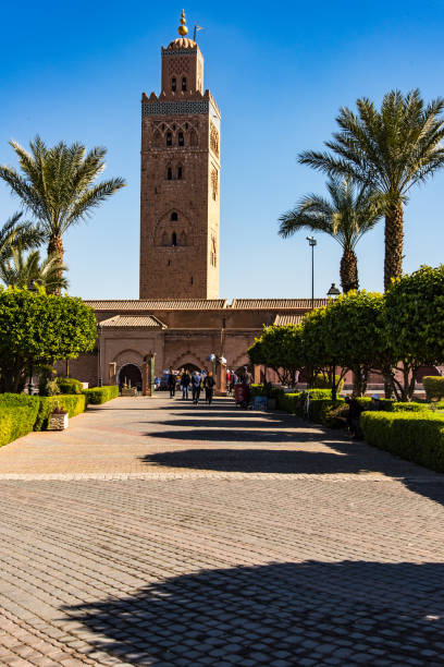 ogrody meczetu koutoubia w marrakeszu,maroko. - djemma el fna square zdjęcia i obrazy z banku zdjęć