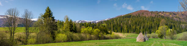 istock panorama of rural field in mountains 913403498