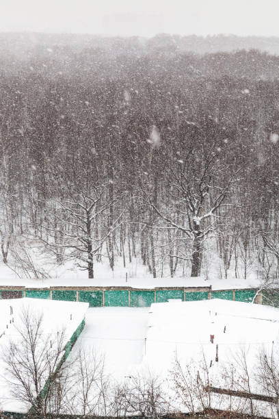 豪雪の車のガレージと冬の木 - snow horizon winter shed ストックフォトと画像
