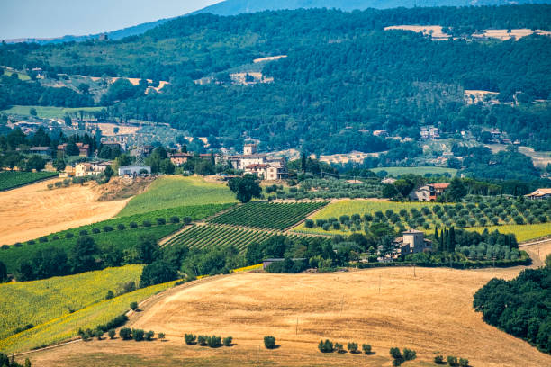 Summer landscape near Todi, Perugia, Umbria, Italy, along the road to Collevalenza