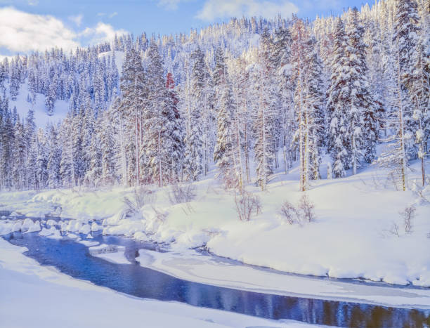 istock Winter snow Emerald Bay State Park, South Lake Tahoe, CA. 913415400